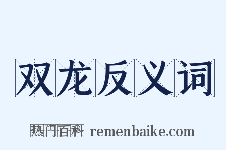 双龙反义词是什么意思的图片